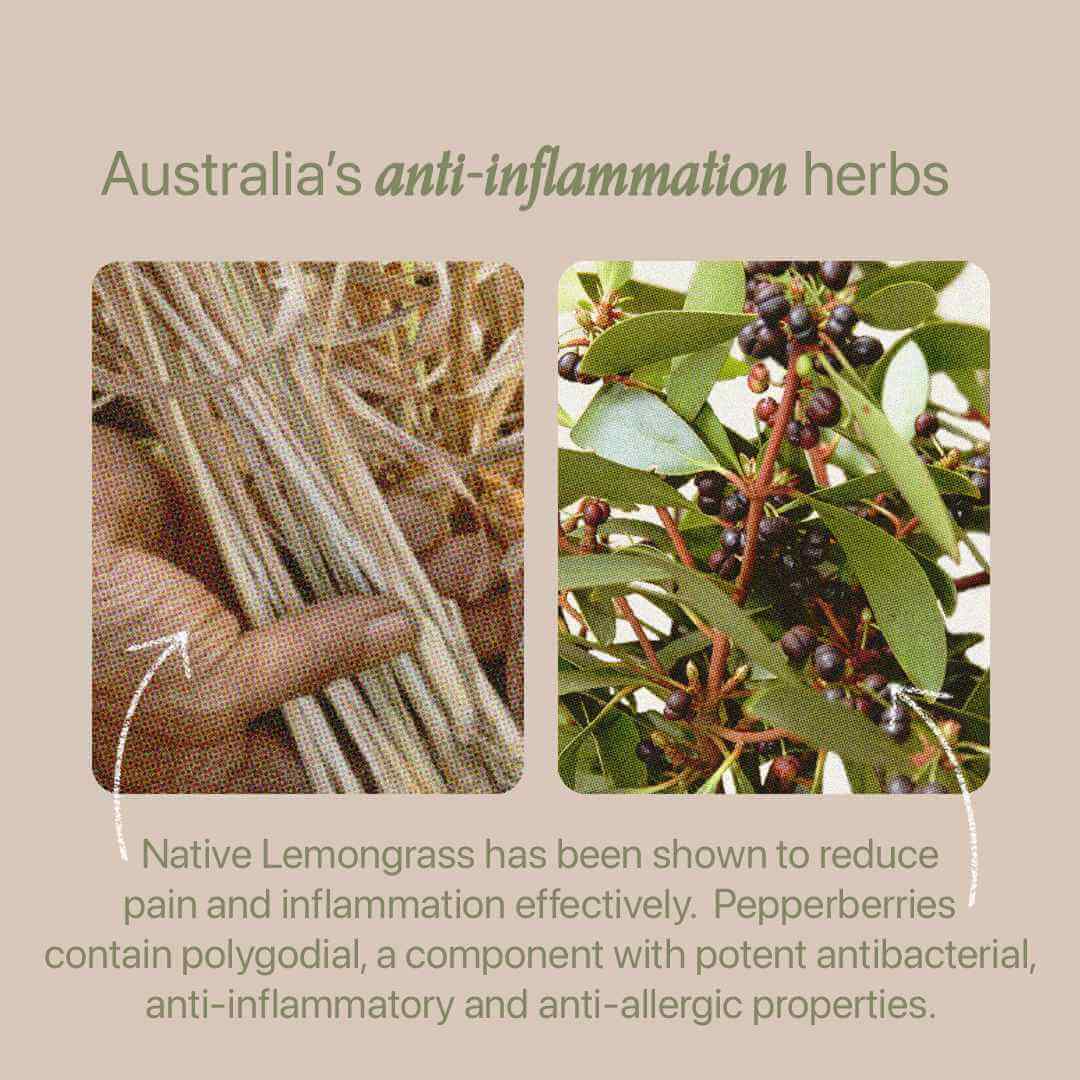 Roogenic Australian Wellness Inflammation Tea Fresh & Earthy Infusion X 8 Teabags