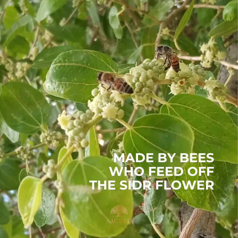 Sacred Sidr Honey 250g